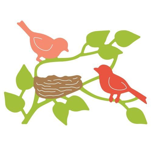 Birds &amp; Nest