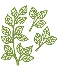 Creative Expressions - Mosaic Leaves