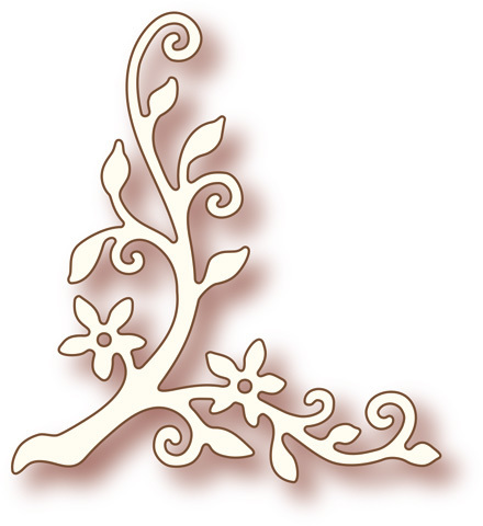 Leafy Branch