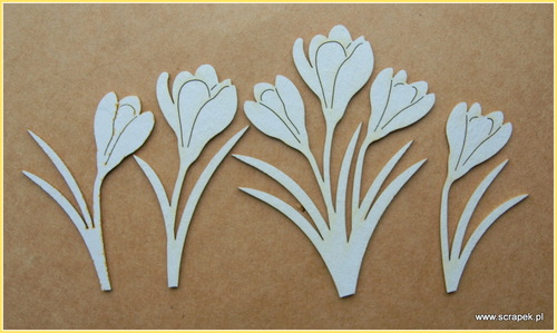 Crocuses Chipboard