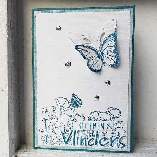 - Tiny's Butterflies 1