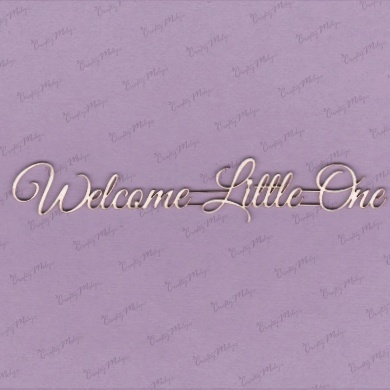 Welcome Little One