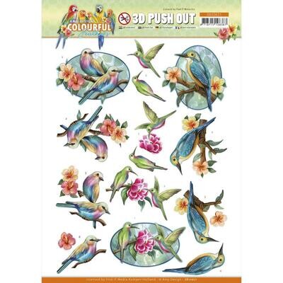 Amy Design COLOURFUL FEATHERS - HUMMINGBIRDS