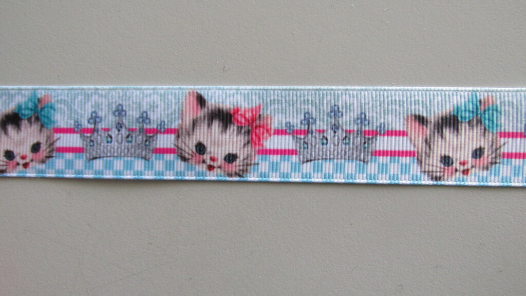 Cute Kitty