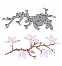 Magnolia