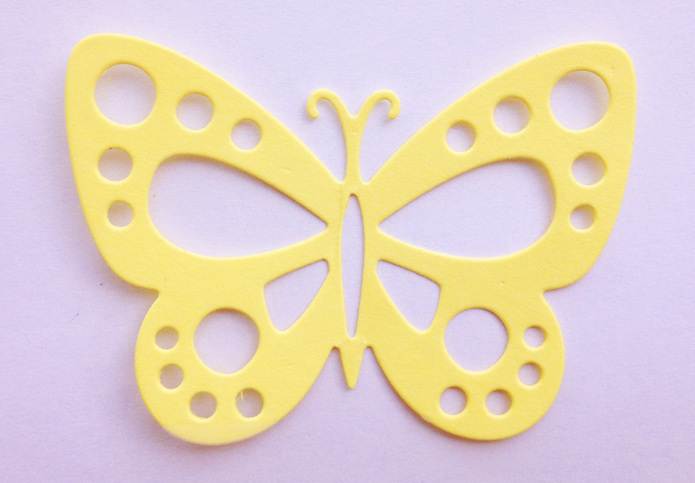 Butterfly 5