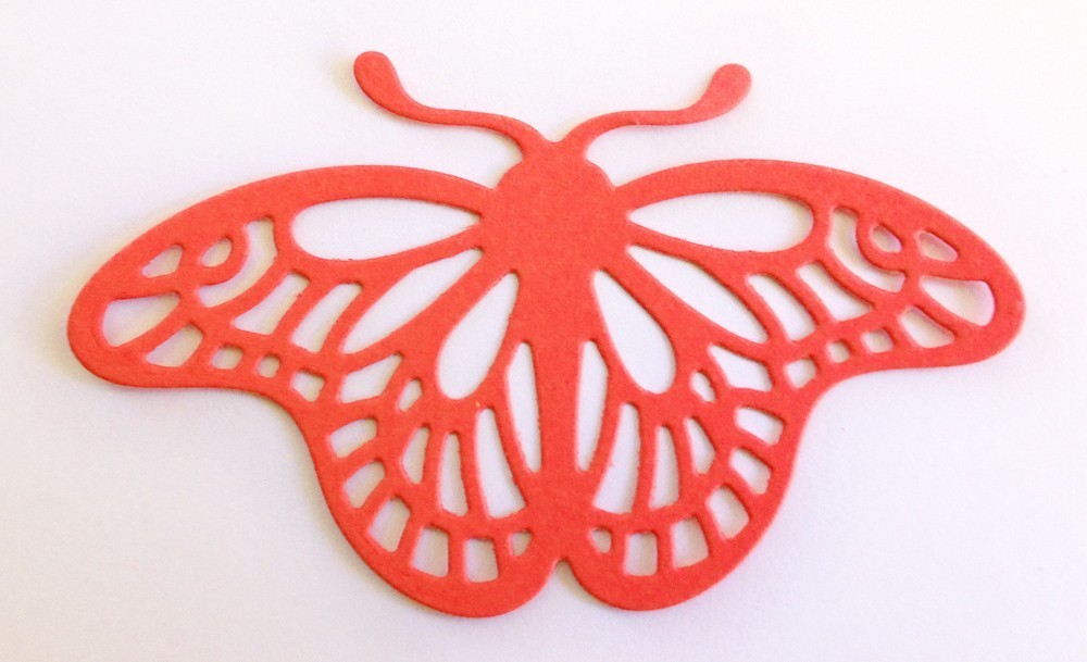 Butterfly 15