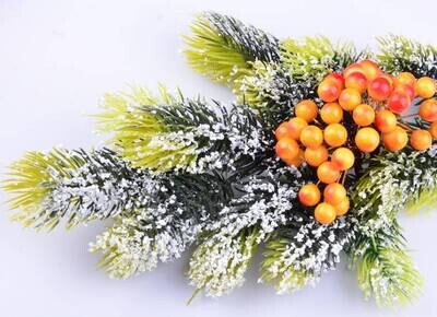 Berries Stem
View All (6)