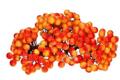 Berries Stem
View All (6)