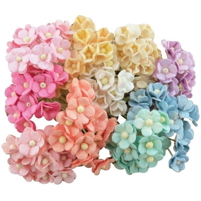 Miniature Sweetheart Blossoms
View All (6), Choose an Option: Pastel Rainbow Mix 1 x100