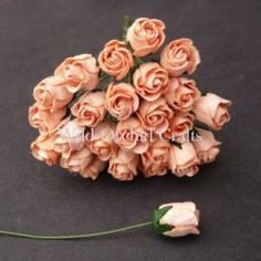 Rose Buds - Click to Select Rose Buds - Click to Select