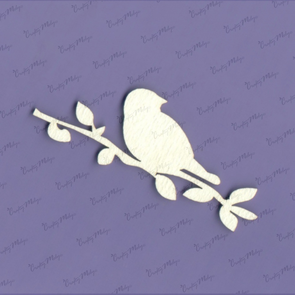 Bird on Branch 3
