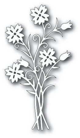 Dianthus Bunch die