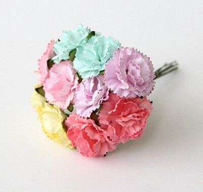 Carnations
View All (8)