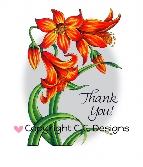 Flower Lily