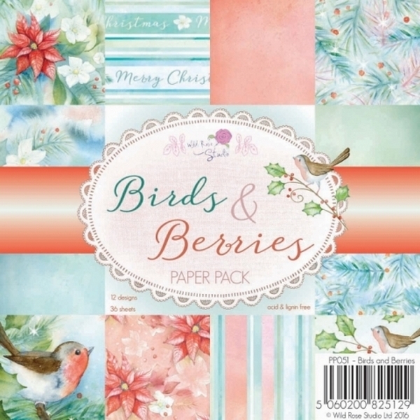 Birds & Berries 6 x 6 Paper Pack