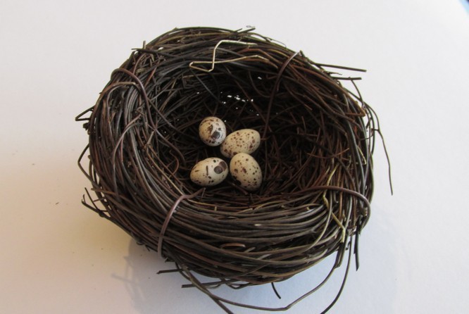 Decorative Bird's Nest