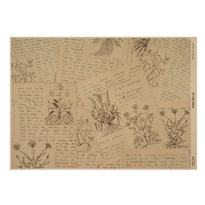 Botanical Backgrounds One Sided Craft Paper          16.5 x 11.5