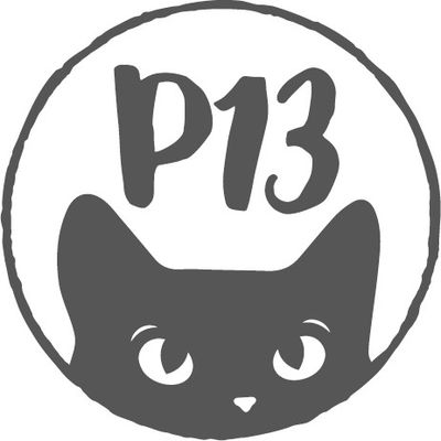 P13 CHIPBOARDS