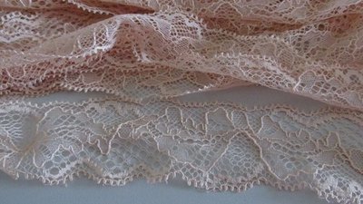 Apricot Scallop Lace