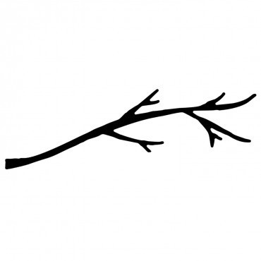 Savvy Dies - Branch