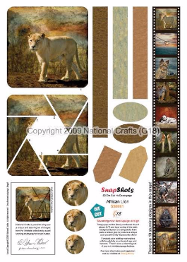 Animals 
View All (9)