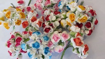 Two Tone Open Roses
View All (6)