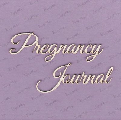 Pregnancy Journal