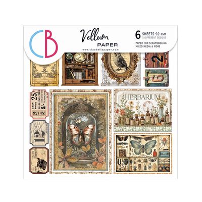 Ciao Bella CABINET OF CURIOSITIES VELLUM FUSSY CUT SHEETS 6x6 6 Pkg
