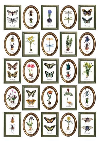 OVERLAY - Botanical Stories in Frames