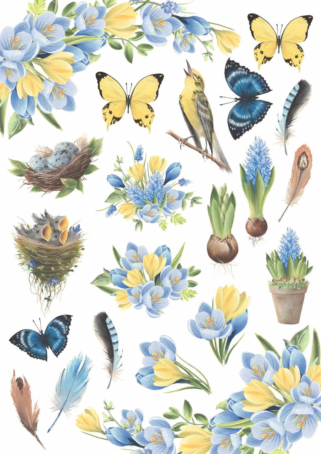 OVERLAY - Botany Spring