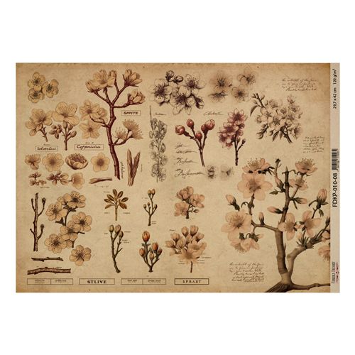 Botany Spring 08- One Sided Craft Paper          16.5 x 11.5