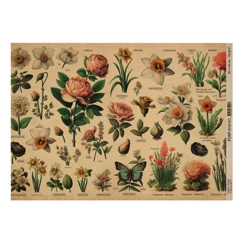 Botany Spring 01-One Sided Craft Paper          16.5 x 11.5