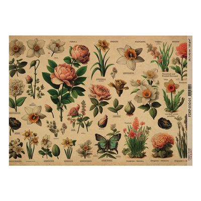 Botany Spring 01-One Sided Craft Paper          16.5 x 11.5
