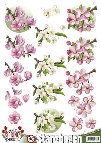 SPRING - Blossoms