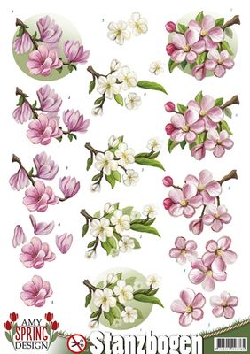 SPRING - Blossoms