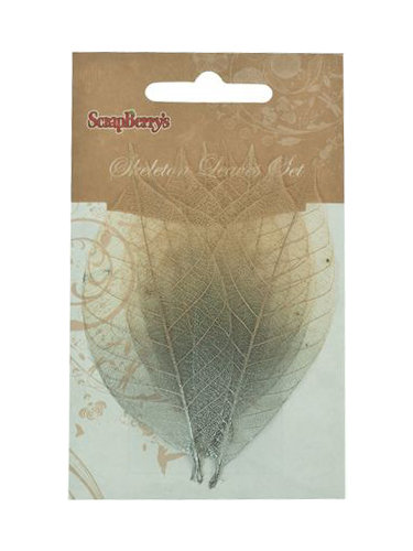 Skeleton Leaves - Click to Select