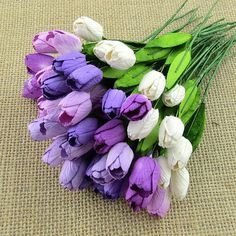 Tulips - Click to Select