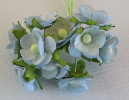 Sweetheart Blossoms
View All (12), Choose an Option: Baby Blue