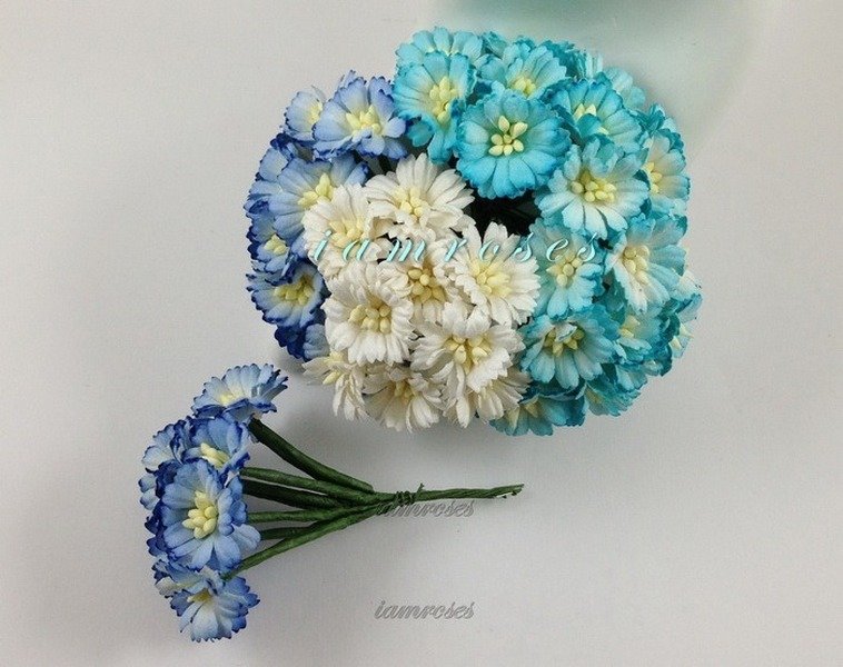 Daisies
View All (4), Choose an Option: Blue Mixed