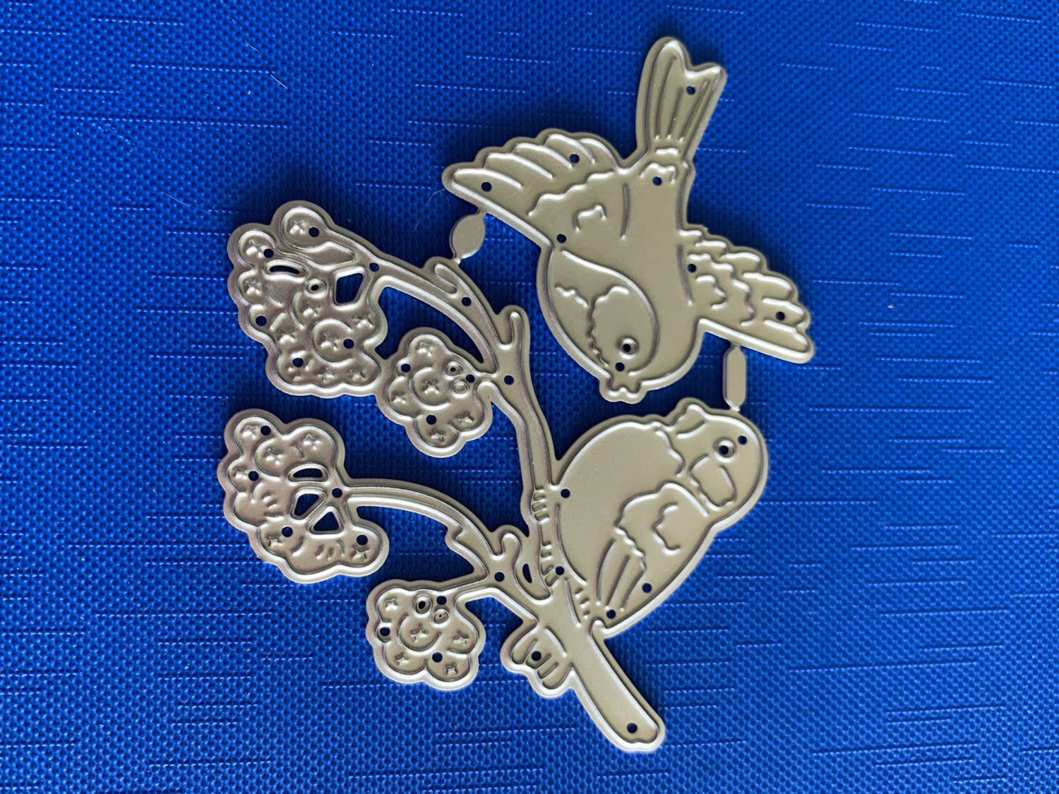 Birds and Berries die