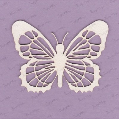 BUTTERFLIES &amp; BIRDS