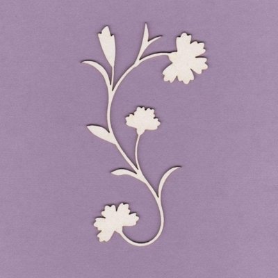 BOTANICAL