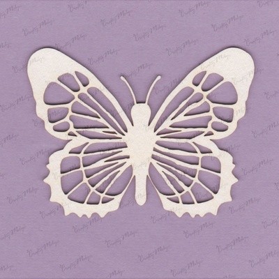 Butterfly 5