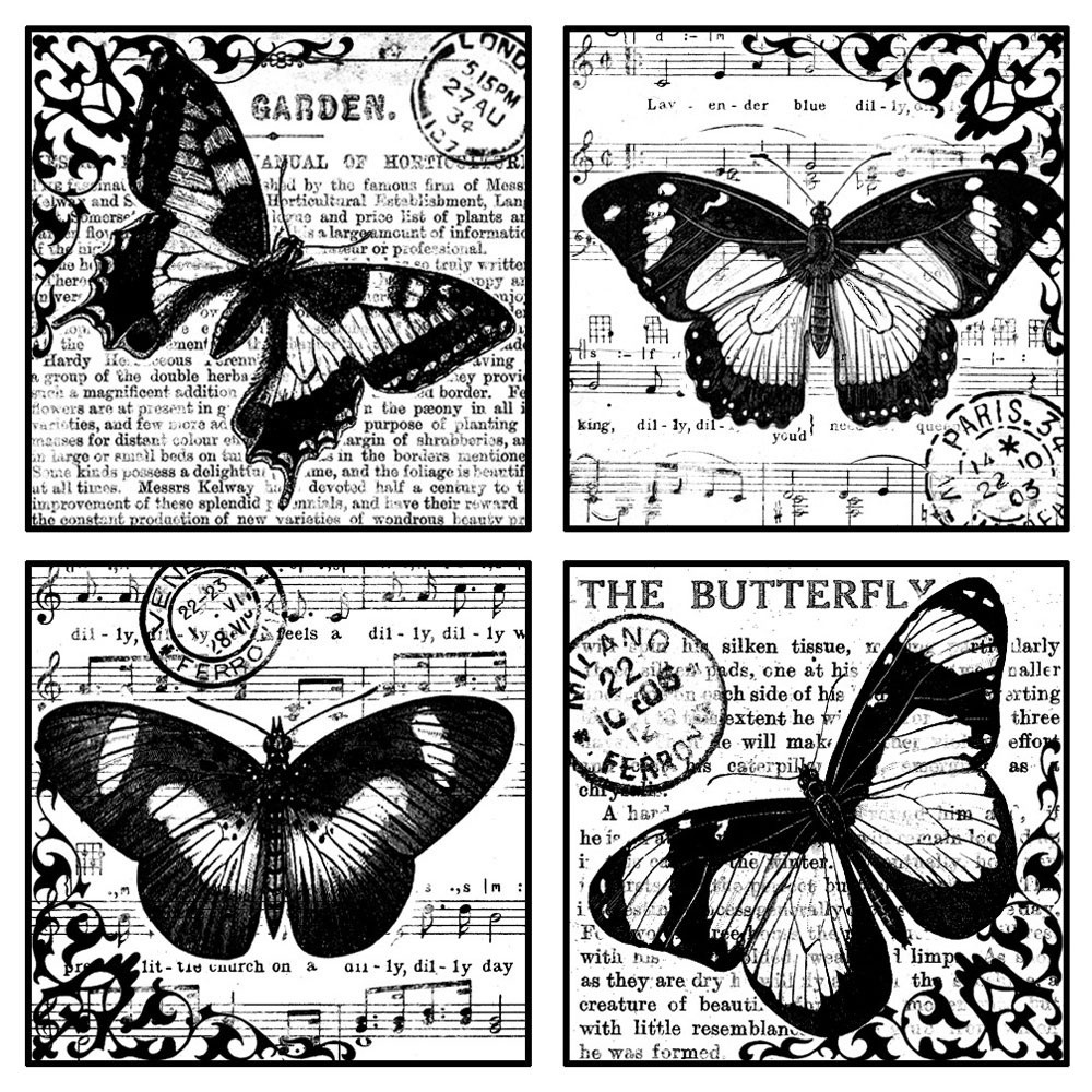 Four Beautiful Butterflies