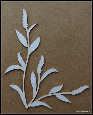 Allseed Chipboard