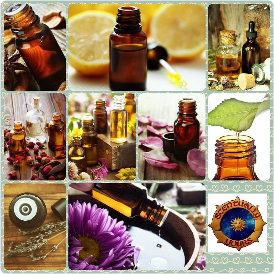 $25 Plant Oil Blends