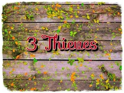 $30 Plant Oil Blends