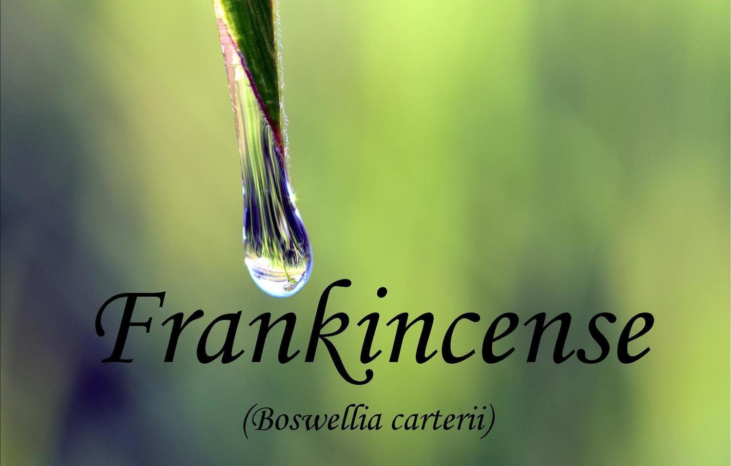 Frankincense  Botswella carterii