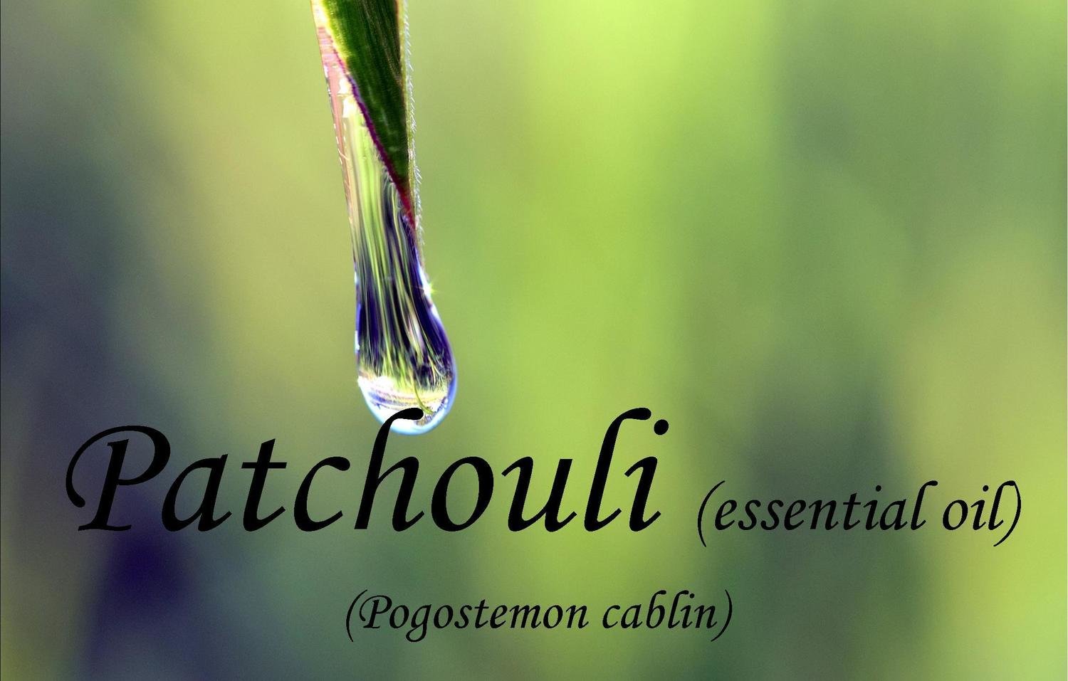 Patchouli Pogostemon cablin